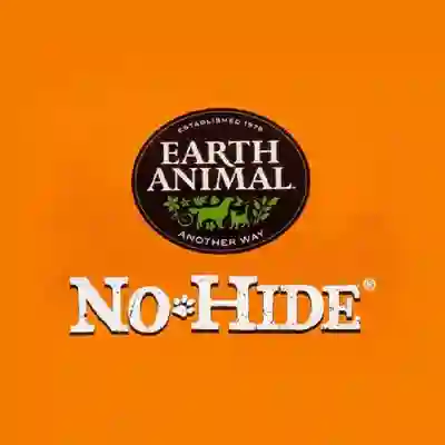 Image Alternative Text