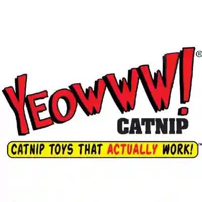Image Alternative Text