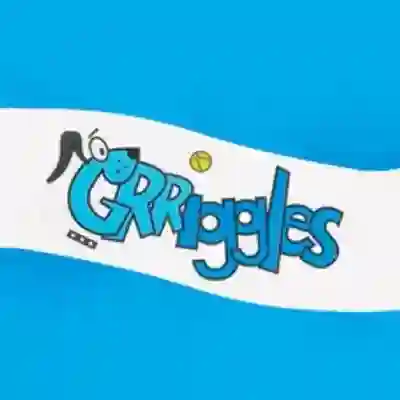 Image Alternative Text