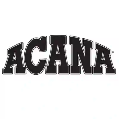 Image Alternative Text