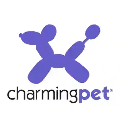 Image Alternative Text
