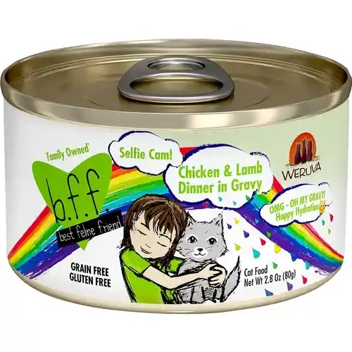 BFF OMG Can Chicken & Lamb Selfie Cam 2.8-oz