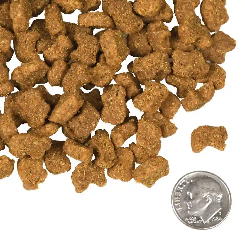 Fromm 4-Star Dog Food Lamb & Lentils GF 4#