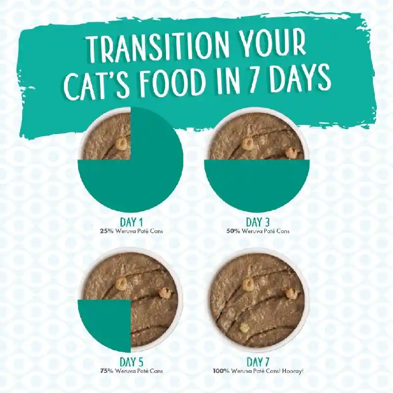 Weruva Can Chicken & Shrimp Meows N'Holler 3-oz