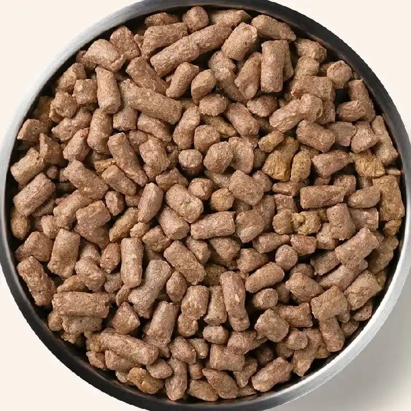 Vital Essentials FD Raw Mini Nibs Chicken 14oz