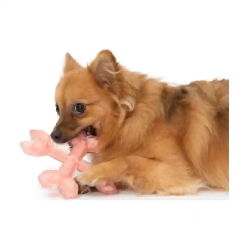 Zeus Duo Cross Bones (6in) Coral, Chicken