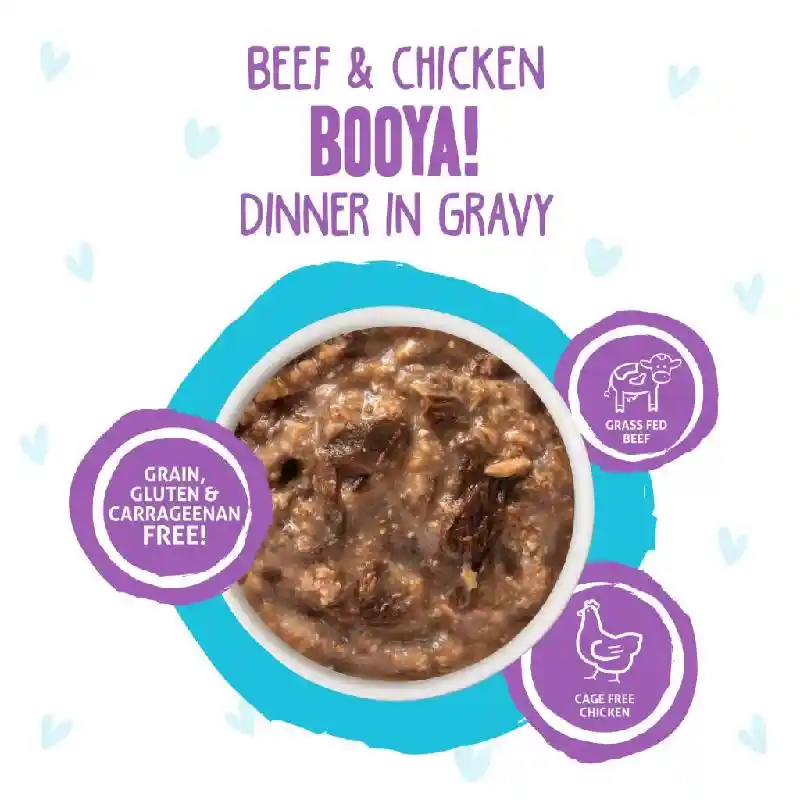 Weruva BFF OMG Booya 2.8-oz Pch