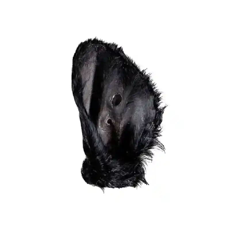 Farm Hounds Dehydrated Beef Ear