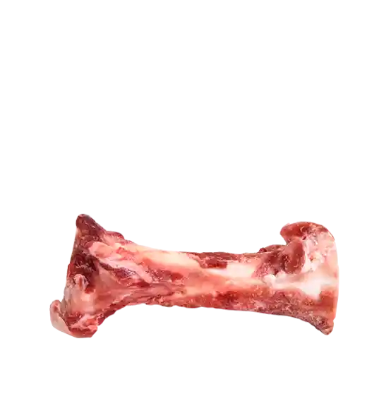 Primal Raw Bones Buffalo Bone Center Cut