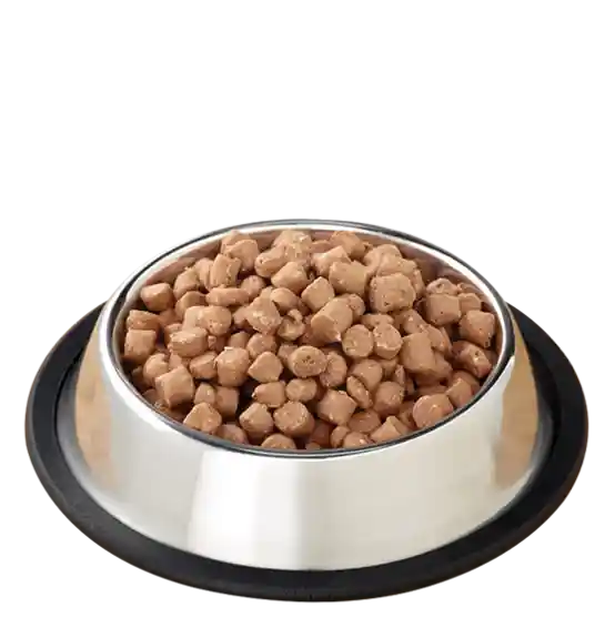 Primal Pronto Raw Dog Food Trky Sard 4#