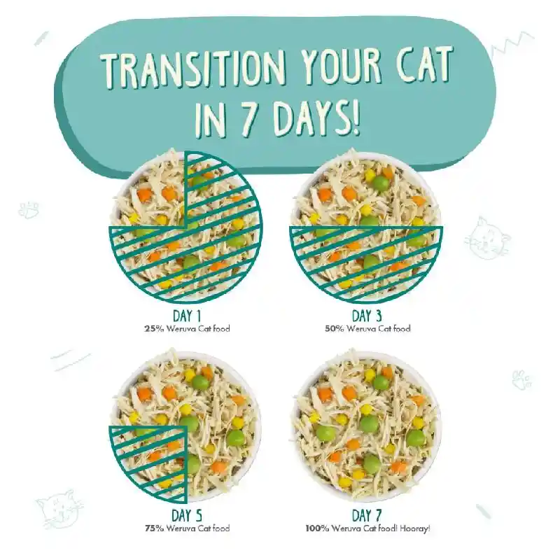 Weruva Cat Can Food Funky Chunky 3-oz
