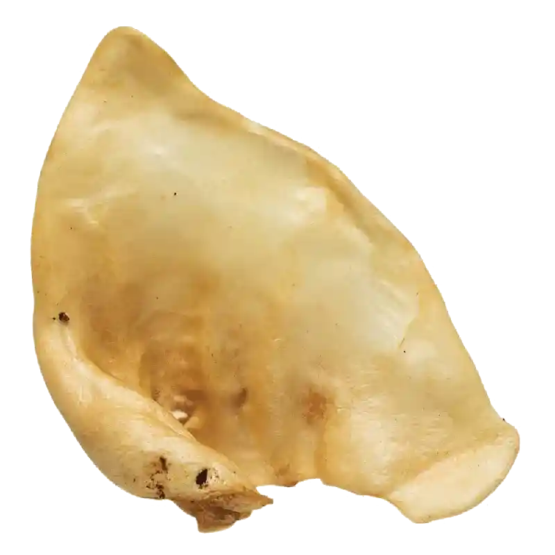 Redbarn Natural Puffed Sow Ears