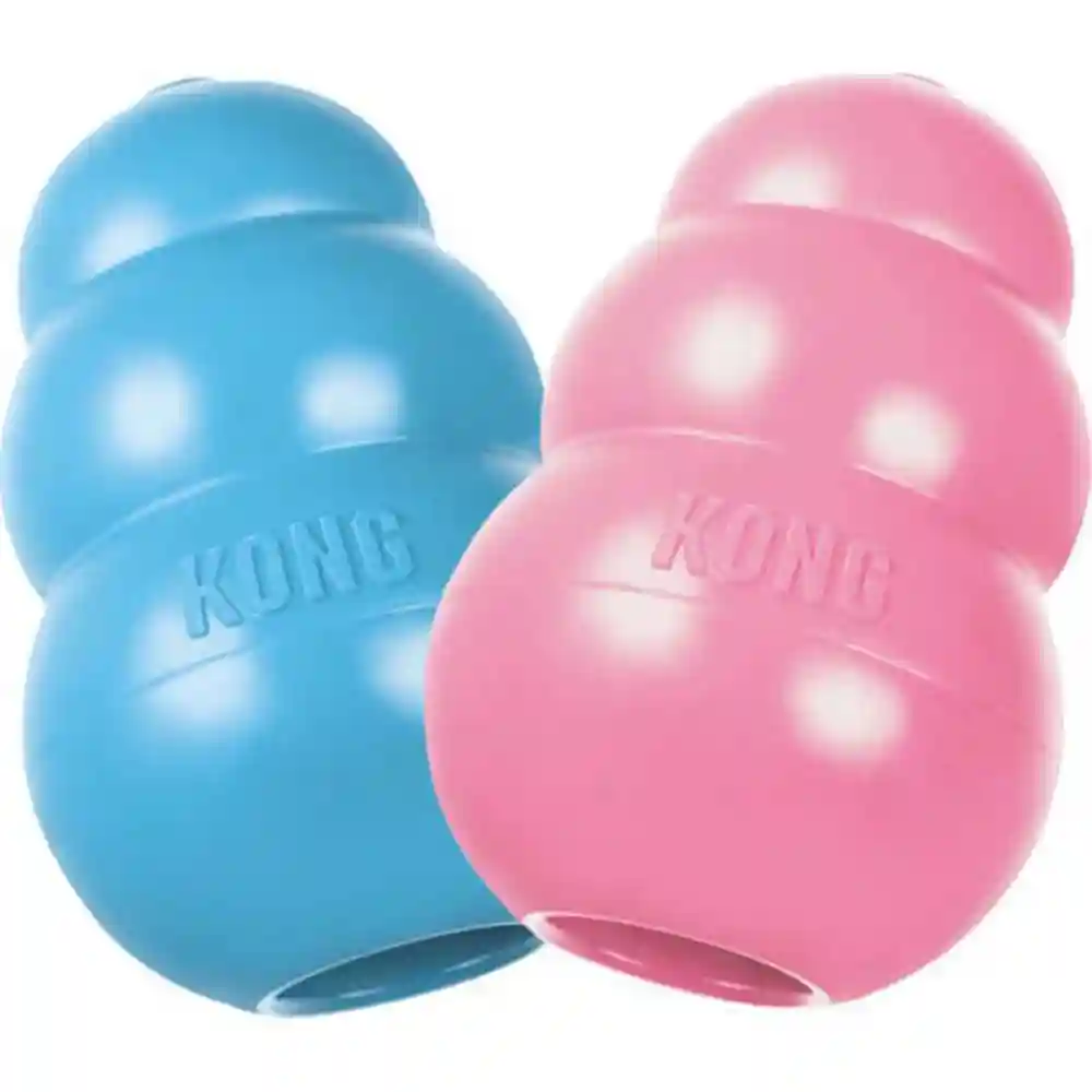 Kong Puppy Large