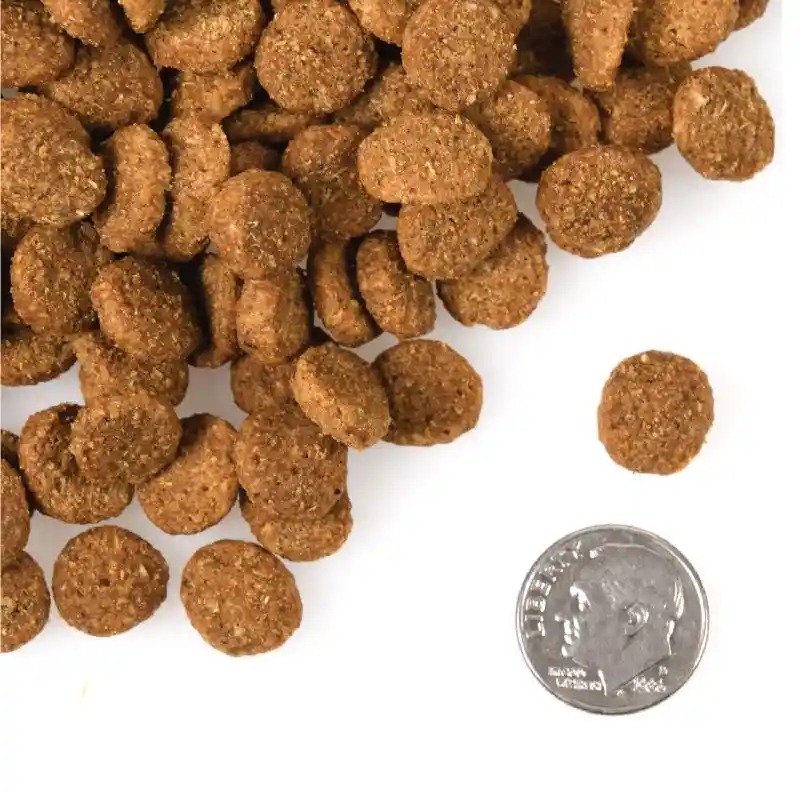 Fromm Heartland Gold Adult Large Breed GF 26#