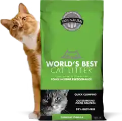 World's Best Cat Litter Clumping 8#