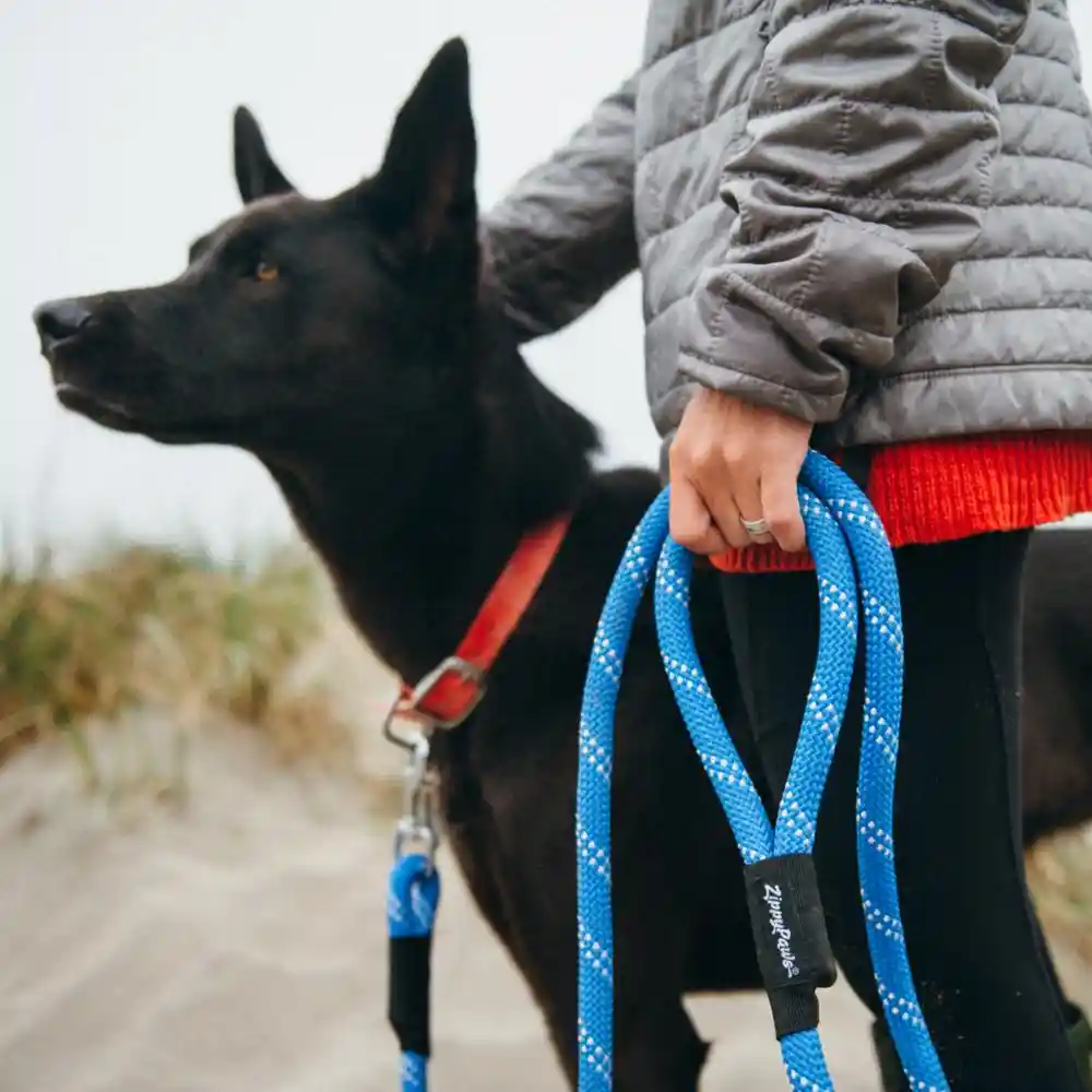 Zippy Paws Original Climbers Leash 6' Teal