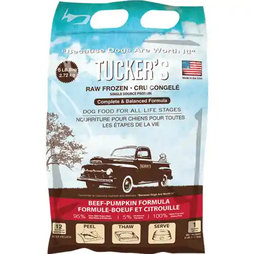 Tuckers Raw Food Bf Pumpk 6#