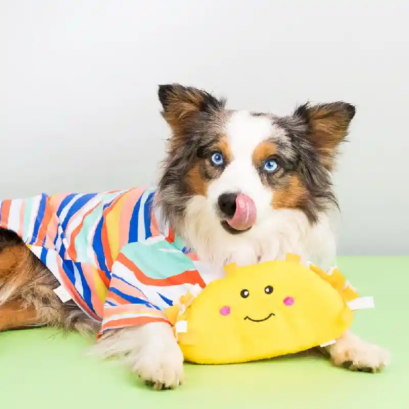 ZippyPaws NomMomz Taco Toy