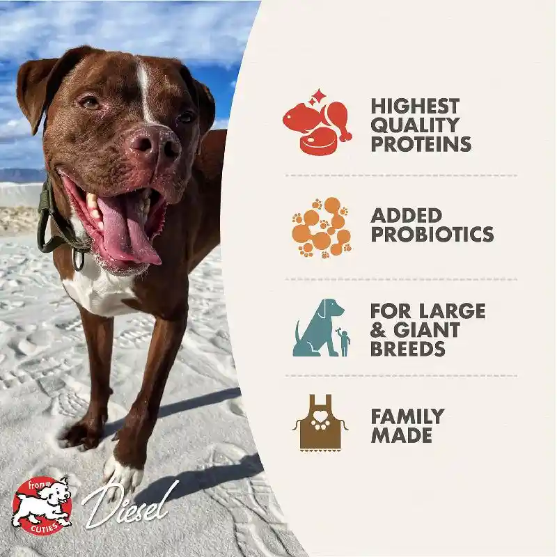 Fromm Heartland Gold Adult Large Breed GF 26#