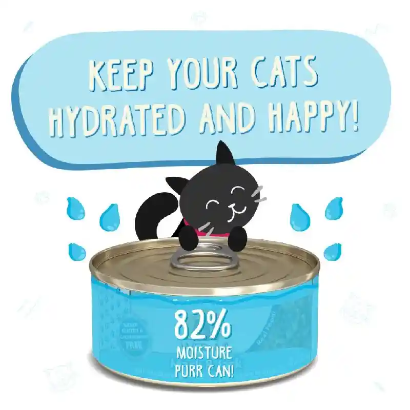 Weruva Cat Can Food Mack & Jack 3-oz Cat