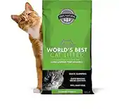 World's Best Cat Litter Clumping 8#