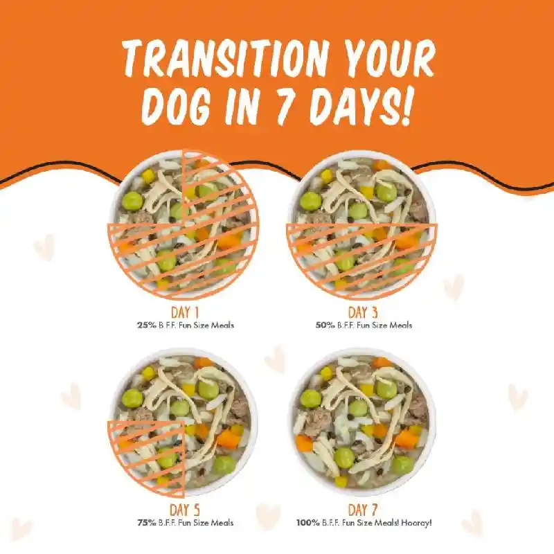 BFF Cup Chicken Rice & Pumpkin You Munchkin 2.7-oz