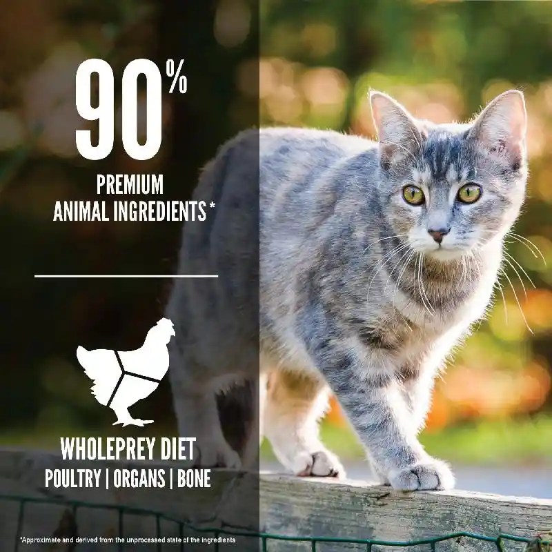 Dry Cat Food, Cat & Kitten, Biologically Appropriate & Grain Free 12-lb