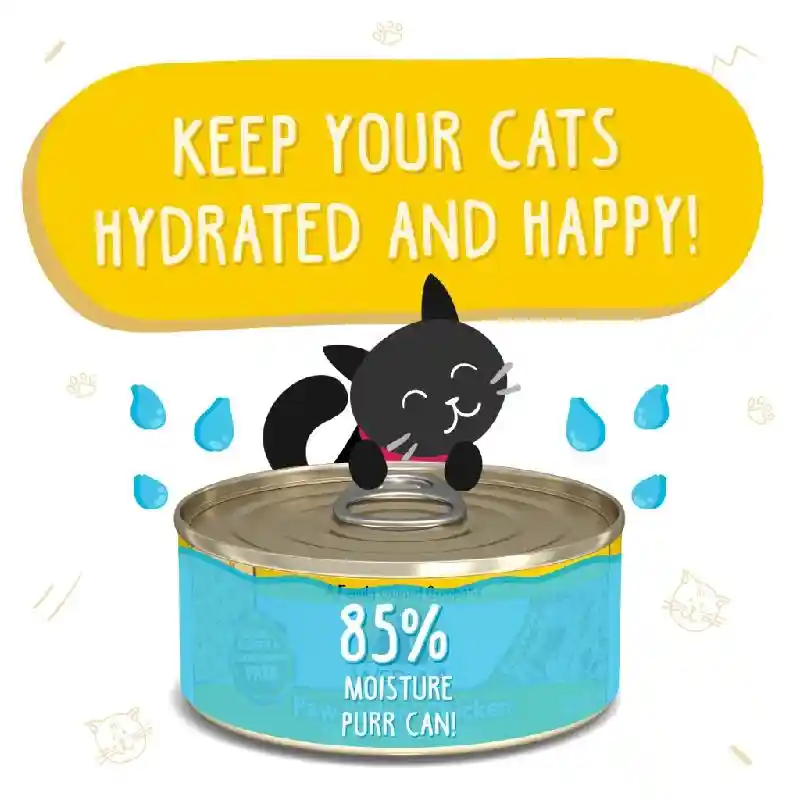 Weruva Cat Can Food Paw Ckn 3-oz Cat
