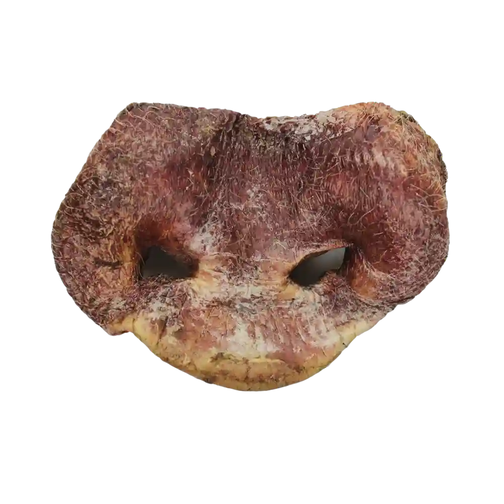 Vital Essentials FD Pig Snouts