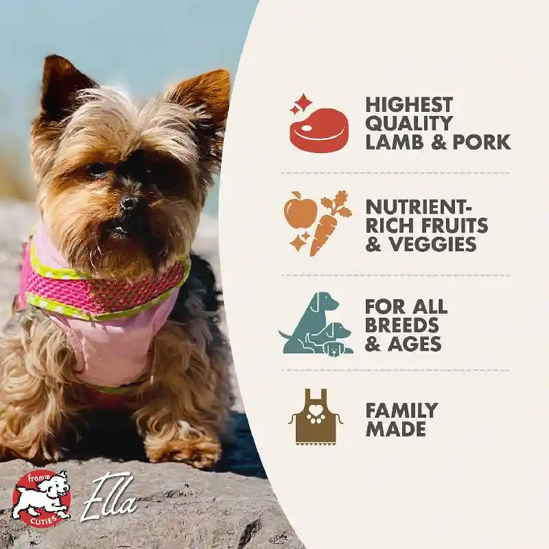 Fromm 4-Star Dog Food Lamb & Lentils GF 26#