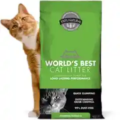 World's Best Cat Litter Clumping 8#