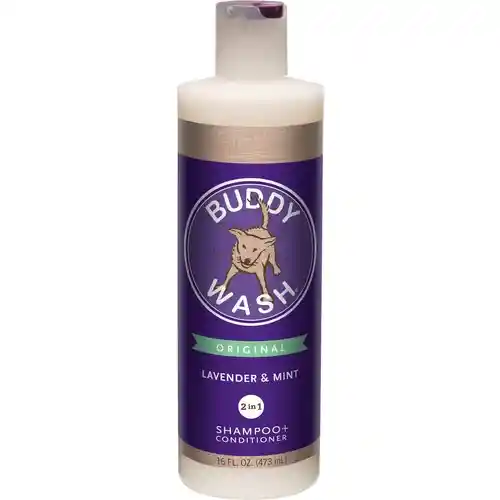 Cloud Star Buddy Shampoo Lav/Mint 16-oz