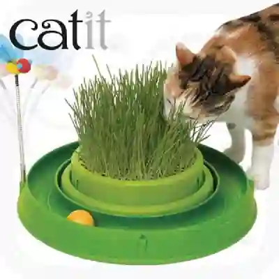 Catit Play Circuit Ball Toy W/ Cat Grass