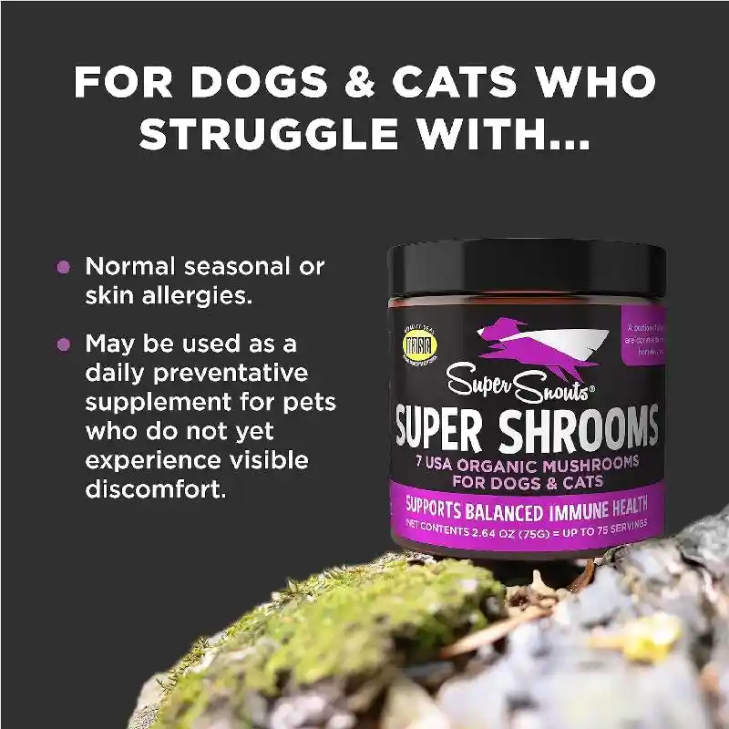 Diggin Your Dog Super Mushroom 75g