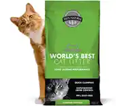 World's Best Cat Litter Clumping 8#