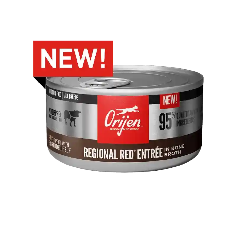 Orijen Cat Can Regional Red Entree w/Broth 3oz