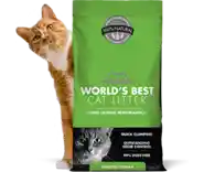 World's Best Cat Litter Clumping 8#
