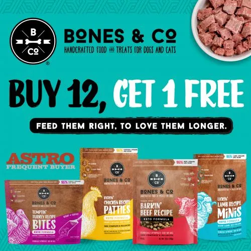 Promotion Image