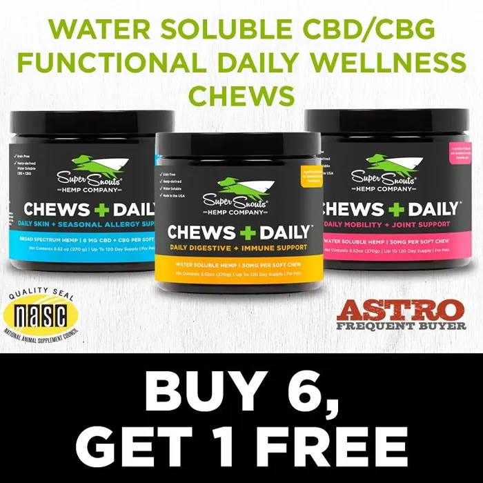 Promotion Image