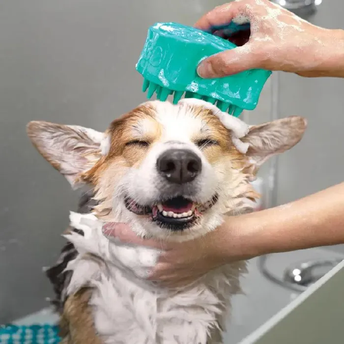 Kong ZoomGroom Bubbles Dog Brush Blue Large