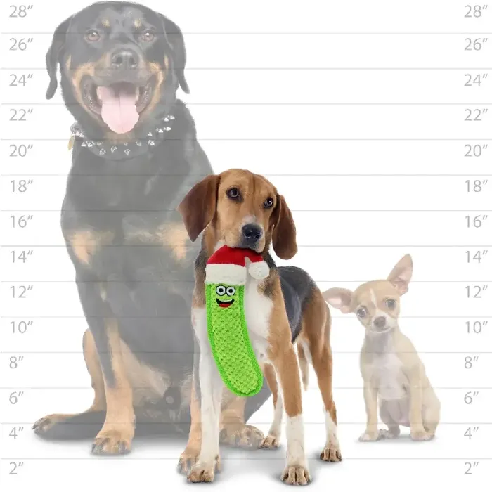 Tuffy Santa Pickle dog toy size comparison