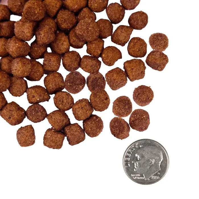 Fromm Salmon & Whole Oats kibble size close-up
