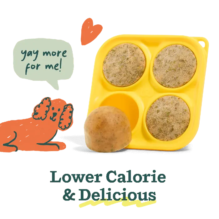 Woof Pupsicle Mix Bacon & Cheese 5.5-oz