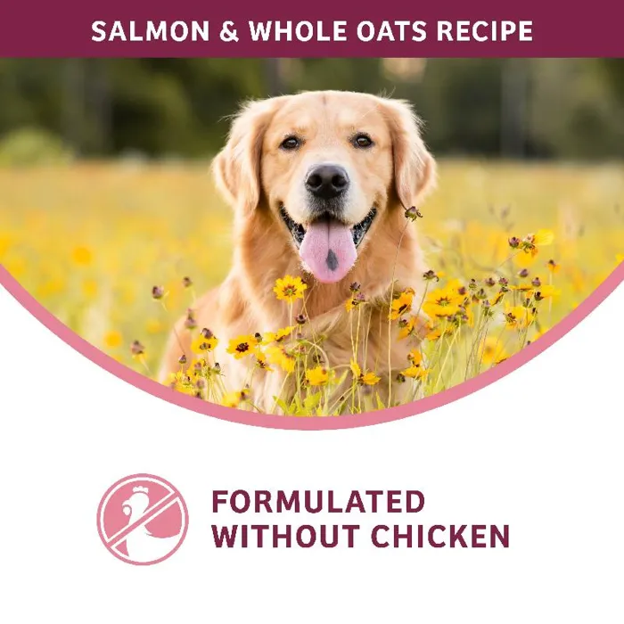 Fromm Salmon & Whole Oats recipe without chicken