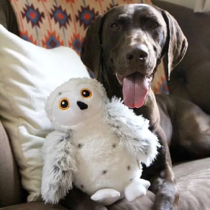 Tall Tails Holiday Animated Snow Owl Dog Toy