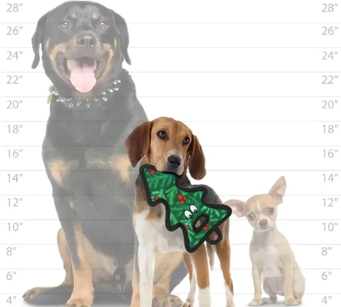 Tuffy Holiday Tree green dog toy, size comparison