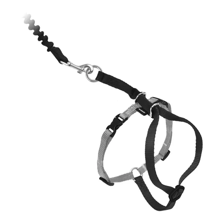 Premier Kitty Harness Blk Small