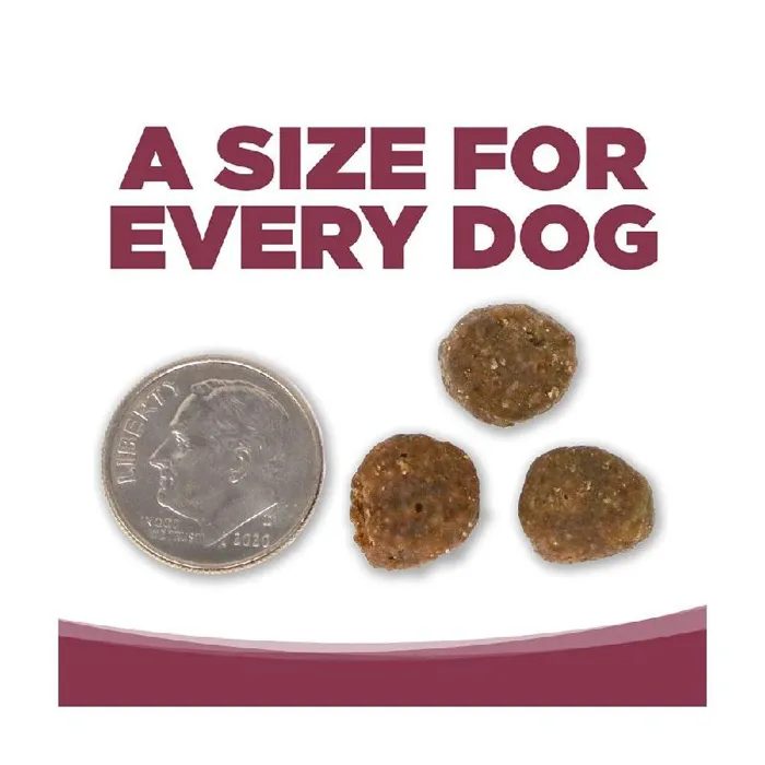 NS Pure Vita Dog Salmon & Kale 25#