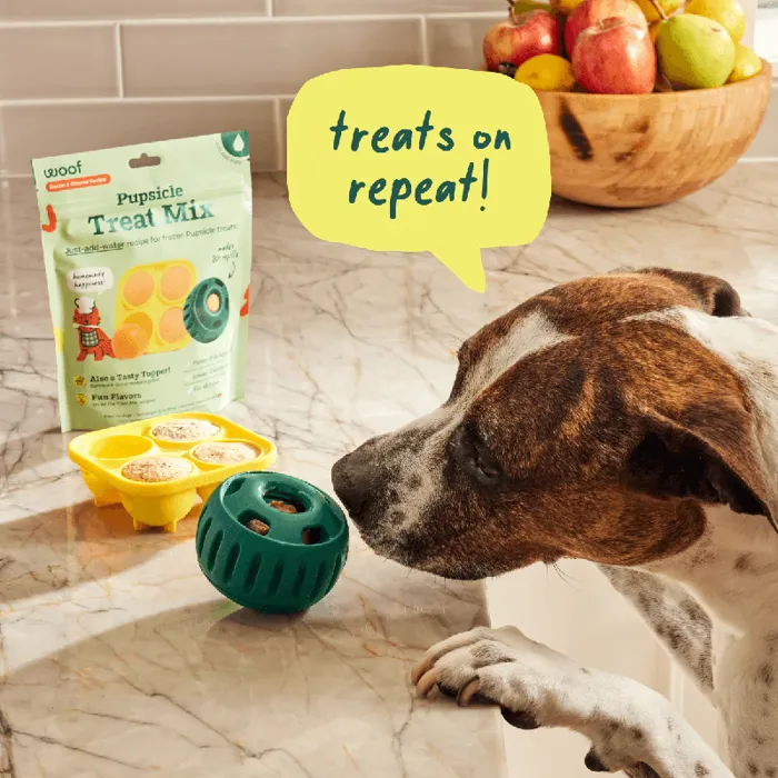 Woof Pupsicle Mix Bacon & Cheese 5.5-oz