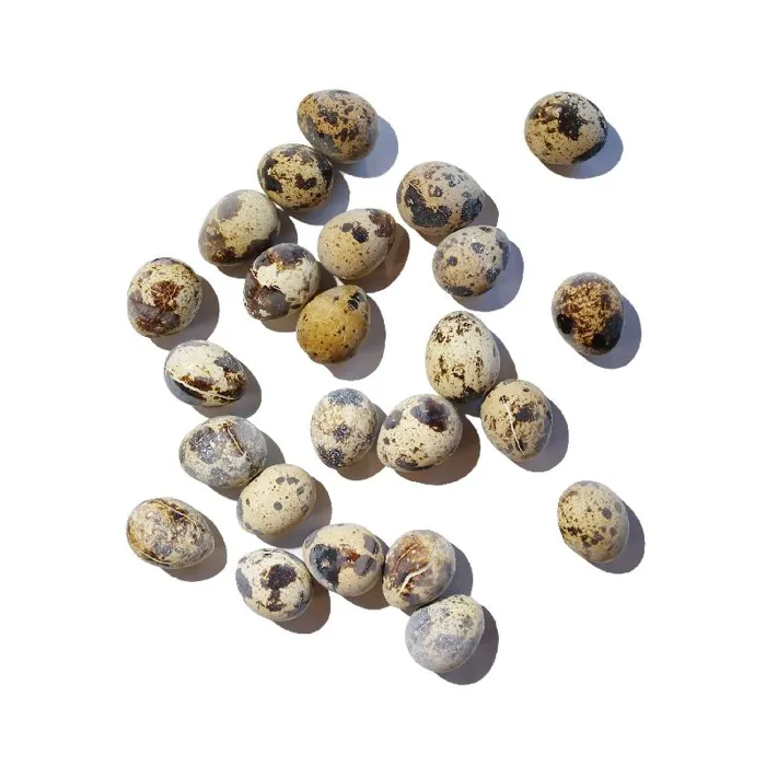 Savage Cat Quail Eggs Frozen Treat 24ct
